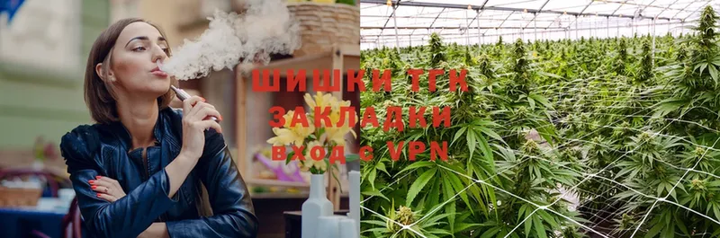 Конопля OG Kush  цены   блэк спрут ТОР  Куса 